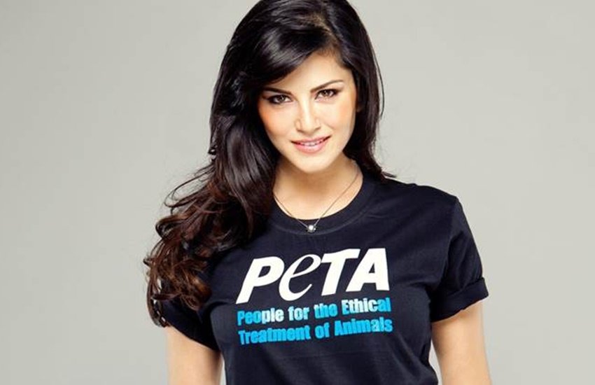 Sunny Leone, Emotional message, Video, Padmawati, Karani Sena, Director, Sanjay Leela Bhansali, Bollywood news in Hindi, Entertainment news in Hindi