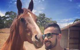 shaktiman, shaktiman police horse, police horse shaktiman, uttarakhand police, shaktiman police horse, shaktiman death, shaktiman injured, virat kohli, kohli india, sports news, sports, cricket news, cricket