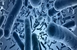 Expands the scope of deadly diseases, jansatta article, jansatta opinion, jansatta editorial