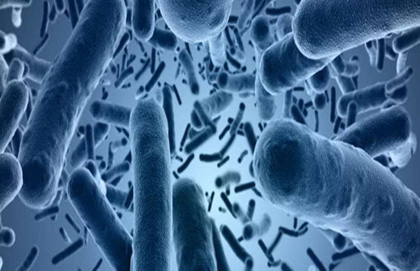 Expands the scope of deadly diseases, jansatta article, jansatta opinion, jansatta editorial Expands the scope of deadly diseases, jansatta article, jansatta opinion, jansatta editorial