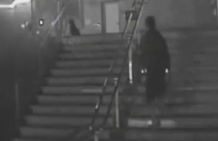 Delhi, serial dog killer, engineer dog killer, dog killer Delhi, CCTV Footage, Delhi Police, Lucknow