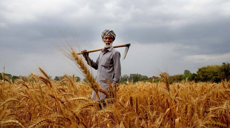 'farm credit scheme,short-term loan,interest subsidy,V C Sarangi,Sarangi panel