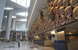 arun jaitley, Customs Declaration Form, duty free, flyer