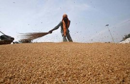 Food Ministry, Bihar, lift PDS foodgrains, foodgrains quota, Ram Vilas Paswan ,India ,Bihar ,agriculture ,foodgrains ,social issue