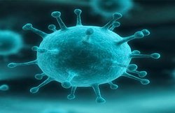 गर्भवती और बच्चों में इंफ्लुएंजा संक्रमण को लेकर बरतें सावधानी