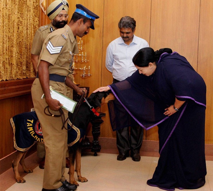 mamta banrjee, mamta banrjee assets, jayalalitha, jayalalitha assets, m k karunanidhi, m k karunanidhi assets, tarun gogoi, tarun gogoi assets, sarbananda sonowal, sarbananda sonowal assets, baichung bhutia, baichung bhutia assets, VS achuthanandan, VS achuthanandan assets, badruddin ajmal, badruddin ajmal assets, tamil nadu Assembly Election, West Bengal Assembly Election, assam Assembly Election, kerla Assembly Election, baishali dalmia, baishali dalmia assets, 2016 Assembly Election