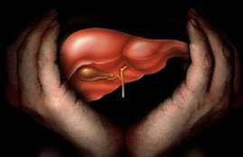 healthy liver, health tips for liver, liver, jansatta health news