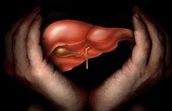 Health Tips: लीवर को हेल्दी बनाने के लिए अपनाएं ये तरीका