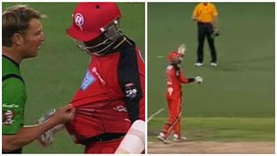 warne samuels, shane warne vs samuels, samules blast shane warne, icc world t20, twenty twenty, man of the match, samuels on warne, t20, cricket news