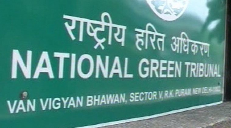 NGT Delhi, NGT DIESEL Bus, Delhi DIESEL Bus, NGT News, NGT latest news