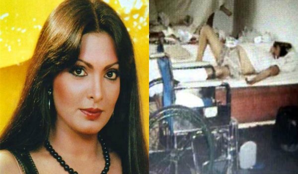 parveen babi, parveen babi birthday", parveen babi, parveen babi birth anniversary, parveen babi hot photos, parveen babi gallery, parveen babi love affair, parveen babi love story, parveen babi death