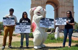 साबुन और डिटर्जेन्ट में अब नहीं होगा पशुओं का प्रयोग