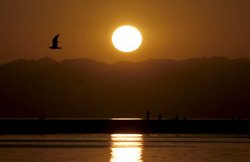 ज्ञानप्रकाश विवेक की गजलें