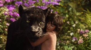 The Jungle Book,The Jungle Book box office, The Jungle Book collection, The Jungle Book box office collection, The Jungle Book opening week collection, The Jungle Book first week collection, The Jungle Book first weekend box office collection, neel sethi, neel sethi latest news, neel sethi the jungle book