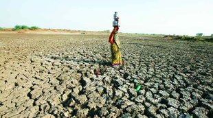 Maharashtra water crisis, maharashtra water drought, water crisis maharashtra, shiv sena maharashtra water crisis, radha mohan singh mahrashtra water crisis, water crisis parliament, maharashtra news, india news"