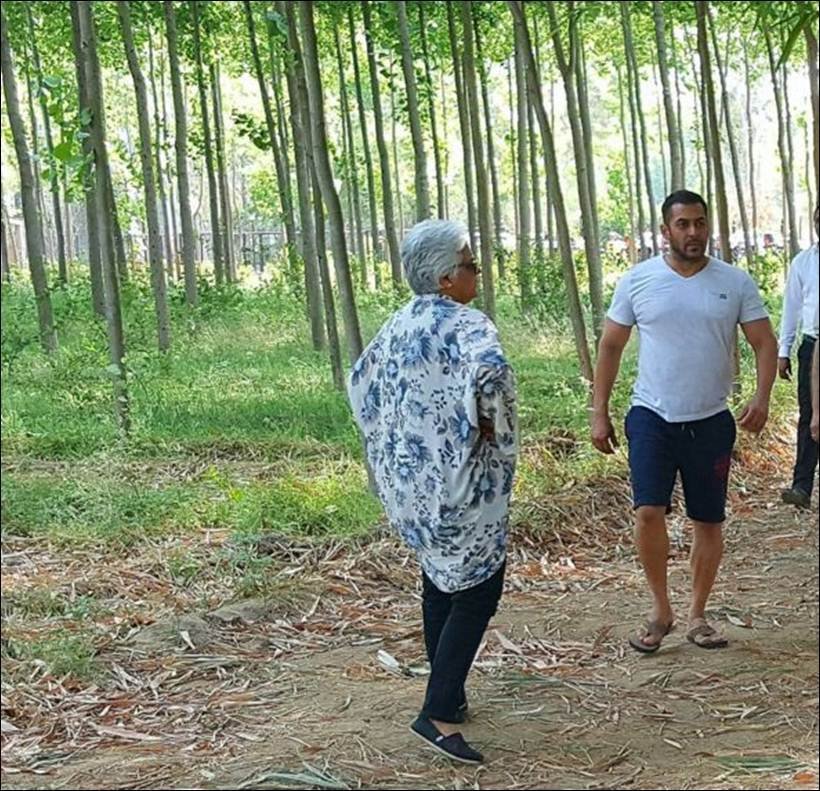 Iulia, Salman khan, Katrina, Salman khan Iulia, Iulia ventur, salman katrina, salman sultan, sultan shooting, salman in sultan movie, salman date lulia, salman lulia relationship, salman lulia news, salman lulia hindi news