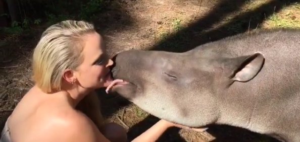 moksha bybee, "King,swimmers,How,orangutan,Suryia,loves,summer,dip,trainer, moksha bybee, liger expert moksha bybee, iger-expert-moksha-bybee photos, latest photos of iger-expert-moksha-bybee