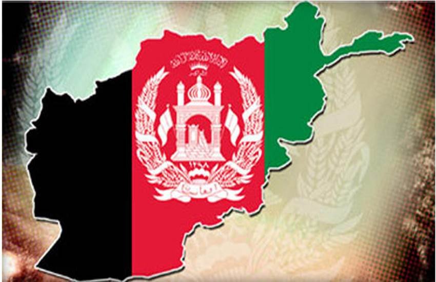 US Senator Jack Reed, US Senator Pakistan, US Senator Terrorism, Pakistan Afghanistan