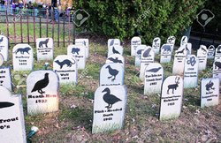 नन्ही दुनिया : जानकारी – जीव-जंतुओं के अनोखे स्मारक