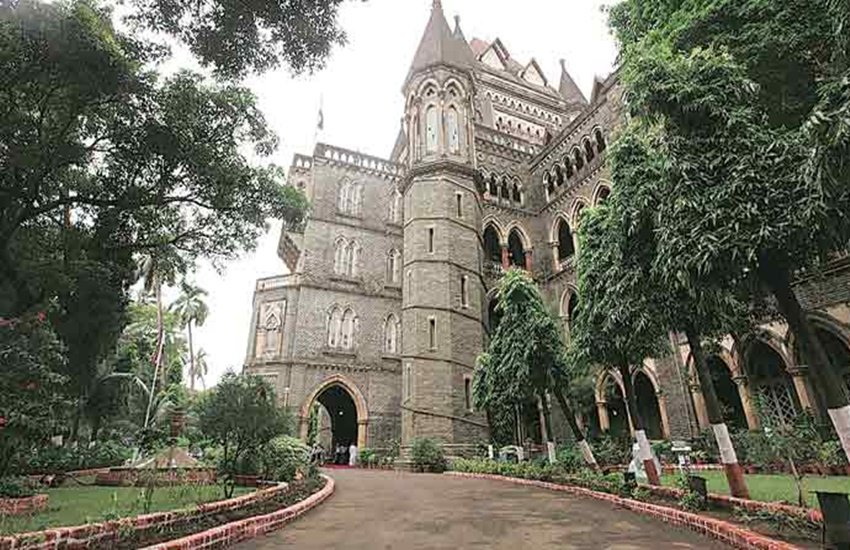 beef ban, bombay hc beef ban, beef ban news, beef ban high court, beef ban maharashtr