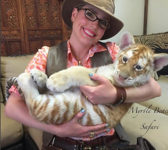 moksha bybee, "King,swimmers,How,orangutan,Suryia,loves,summer,dip,trainer, moksha bybee, liger expert moksha bybee, iger-expert-moksha-bybee photos, latest photos of iger-expert-moksha-bybee
