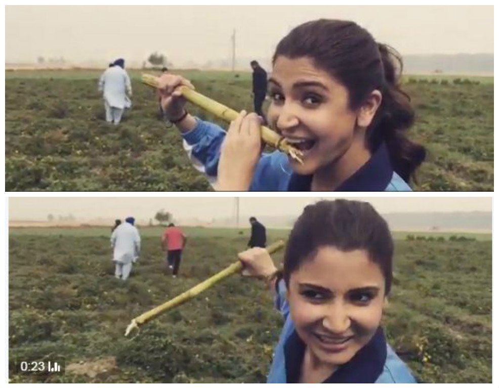 anushka sharma, anushka sharma movies, sultan, salman khan, diljit dosanjh, phillauri, anushka sharma sultan, anushka sharma phillauri, anushka sharma salman khan, anushka sharma diljit dosanjh, anushka sharma news, anushka sharma latest news, entertainment news