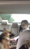 Dog braves bites, saves owner’s daughter from rattlesnake 1
