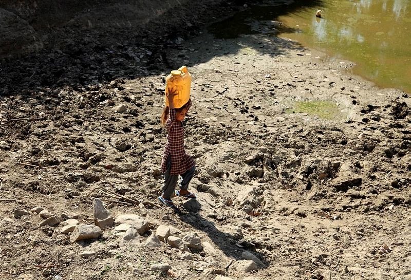 Heatwave, Sunstroke, Telangana heat, India Heat Pics, Odisha heatwave,Hyderabad Heatwave, Heatwave deaths, heatwave claims life, Odisha temperature, Telangana temperature, india heat news