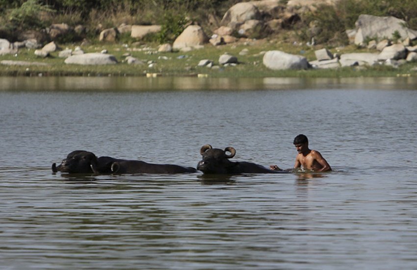 Heatwave, Sunstroke, Telangana heat, India Heat Pics, Odisha heatwave,Hyderabad Heatwave, Heatwave deaths, heatwave claims life, Odisha temperature, Telangana temperature, india heat news