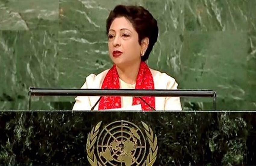 Pakistan Maleeha Lodhi, UN Maleeha Lodhi, Maleeha Lodhi India, Kashmir India, Maleeha Lodhi News, Maleeha Lodhi latest News