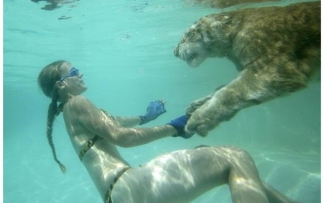 moksha bybee, "King,swimmers,How,orangutan,Suryia,loves,summer,dip,trainer, moksha bybee, liger expert moksha bybee, iger-expert-moksha-bybee photos, latest photos of iger-expert-moksha-bybee
