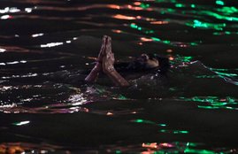 kumbh, ujjain, simasth, lost people, saint