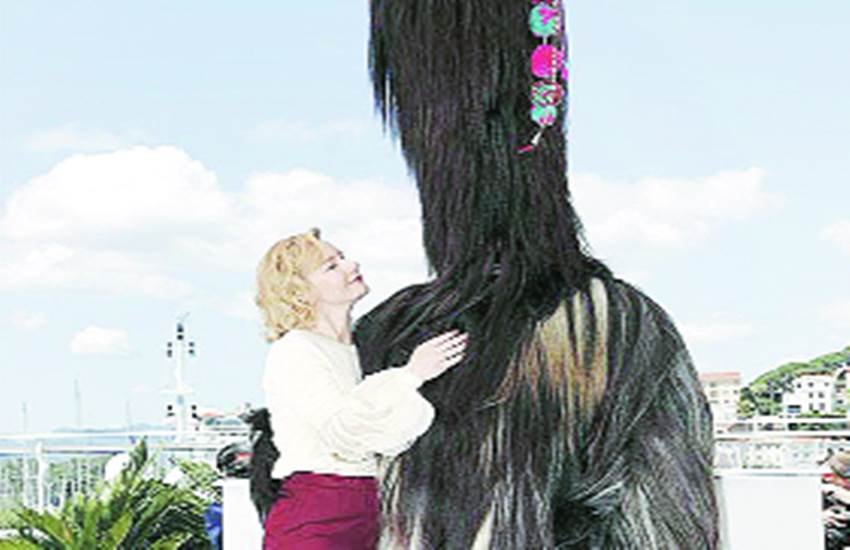 Cannes Film Festival, Cannes Film Festival 2016, Cannes Film, Cannes Toni Erdmann, Cannes Festival, Cannes Festival Clash