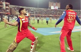 IPL 2016, Virat Kohli 4000 Runs, Virat Kohli 4 Century, Virat Kohli IPL Record, IPL Virat Kohli Record, Virat Kohli IPL career, Virat Kohli IPL 2016 REcord, Virat Kohli Batting, Virat Kohli Century, IPL Virat Kohli , RCB Virat Kohli Record