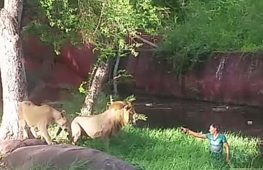 CZA, Zoo, marathon, announcements, Zoo, India News, Bhopal News, MP News