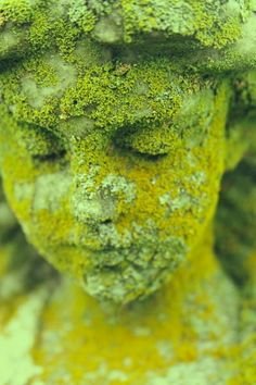 moss on Soul , jansatta blog, jansatta sunday blog