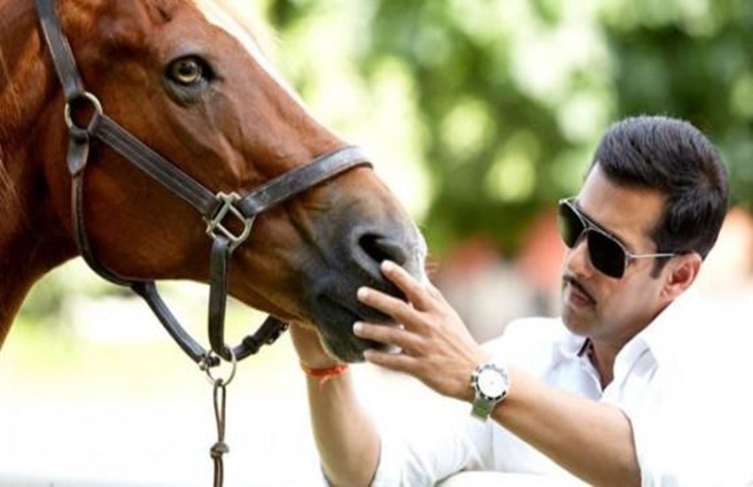 Salman Khan Marriage, Wedding, Salman Khan