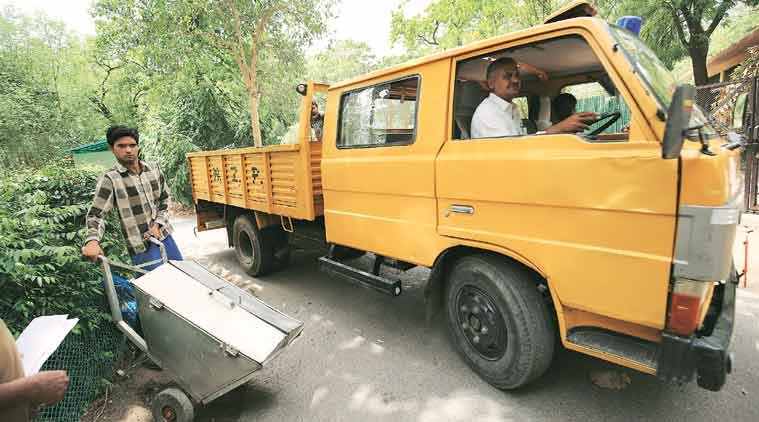 Delhi, Delhi zoo, Delhi zoo animals, Delhi animals