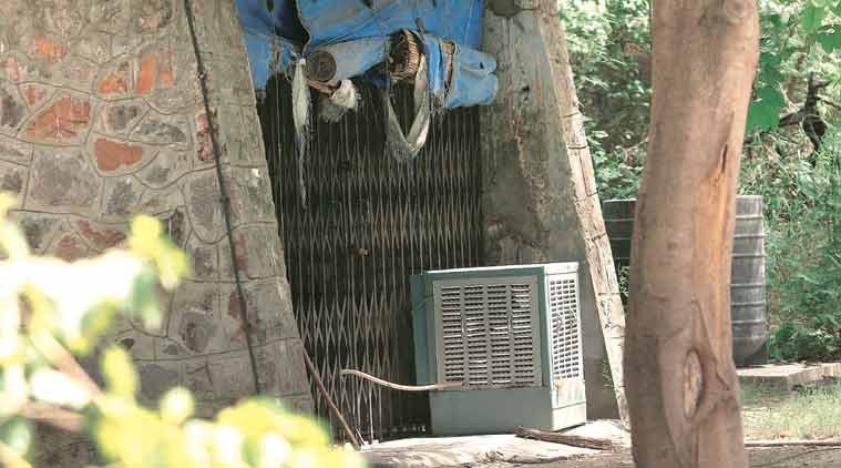 Delhi, Delhi zoo, Delhi zoo animals, Delhi animals