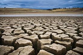 Thinking, drought, jansatta chaupal