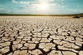 Ram Kripal Yadav,Lok Sabha,Drought,Maharashtra,Uttar Pradesh,India News