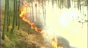 राजनीतिः क्यों धधक रहे हैं जंगल
