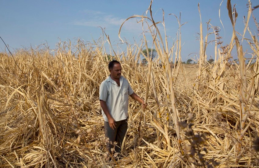 Marathwada, Marathwada Water Crisis, Water Crisis, drought, drought photos, drought in Marathwada, Marathwada region, latur, latur drought, Marathwada drought, drought in india, drought photos, drought maharastra, Water Crisis in india