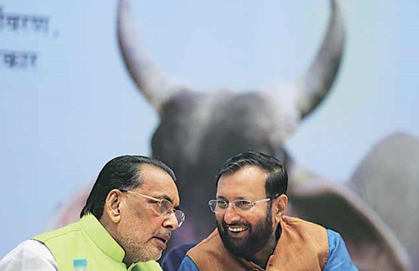 Prakash Javadekar, Vigyan Bhawan, gaushalas