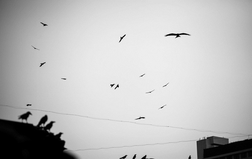 real lives of models, model photos, indian model photos, meera ganahapathi, vijit gupta, models in their real lives photos