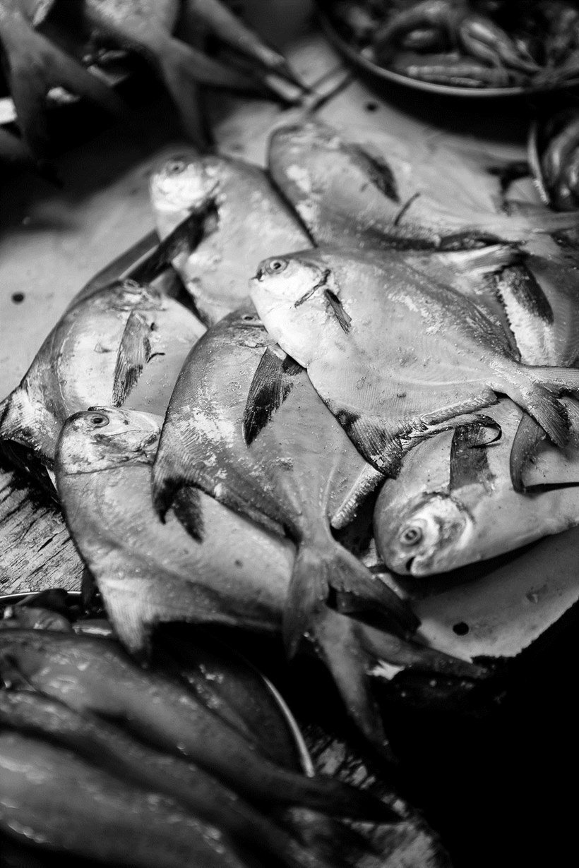 real lives of models, model photos, indian model photos, meera ganahapathi, vijit gupta, models in their real lives photos