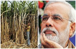 sugar subsidy news, Union Budget 2017, sugar subsidy Bidget, Budget Sugar Subsidy