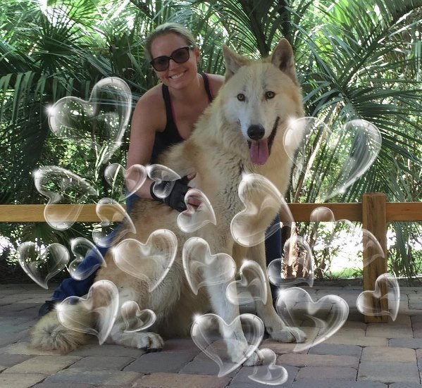 moksha bybee, "King,swimmers,How,orangutan,Suryia,loves,summer,dip,trainer, moksha bybee, liger expert moksha bybee, iger-expert-moksha-bybee photos, latest photos of iger-expert-moksha-bybee