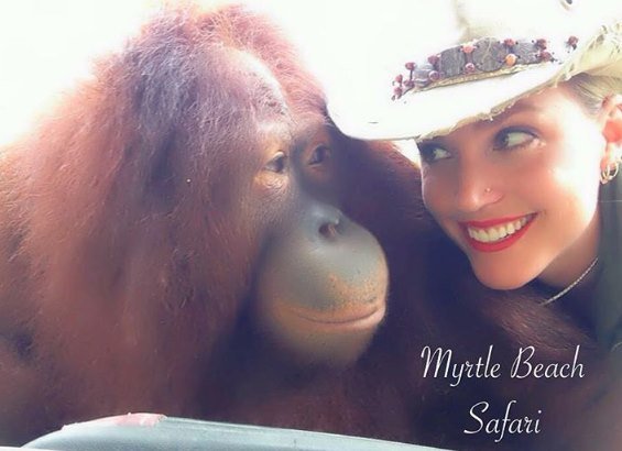 moksha bybee, "King,swimmers,How,orangutan,Suryia,loves,summer,dip,trainer, moksha bybee, liger expert moksha bybee, iger-expert-moksha-bybee photos, latest photos of iger-expert-moksha-bybee