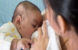 brain,brain tissue,cerebral cortex,childbirth,human brain,infant,milk,pediatrics,preterm birth